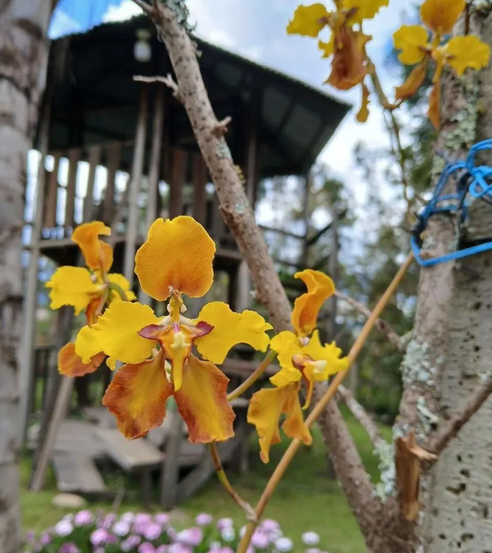 Apartment Comfortable And Quiet Tiny Home Close To The City Cuenca Ecuador