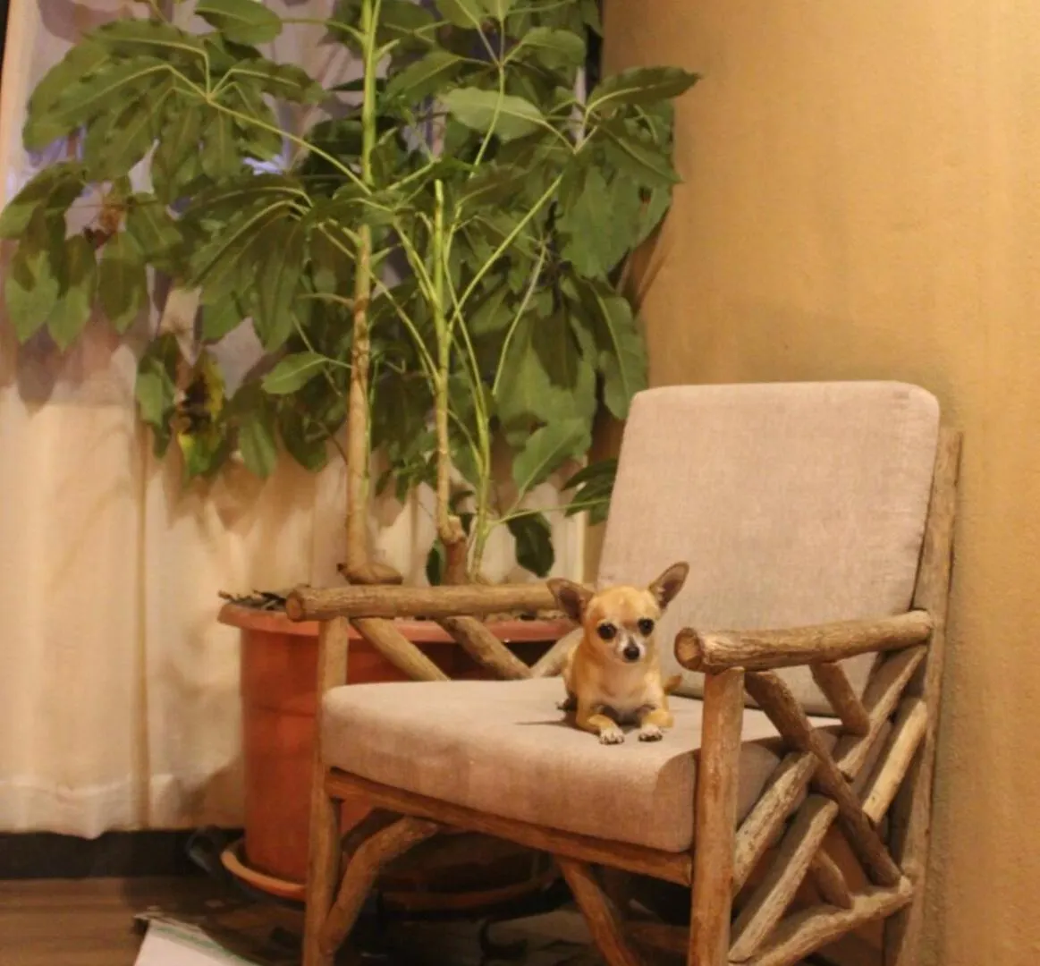 Comfortable And Quiet Tiny Home Close To The City Cuenca 0*,